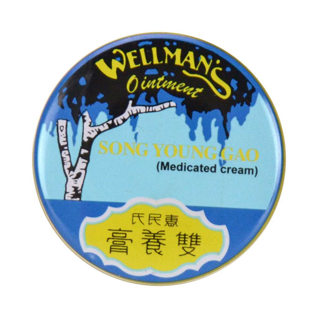 WELL MAN'S Ointinent Song Young Gao (Medicated Cream) 13g