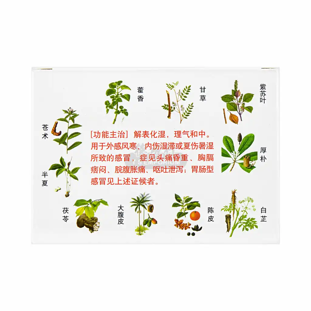 太极 藿香正气口服液 10支入/100ml