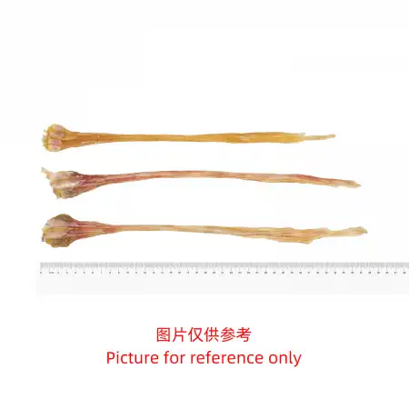 德成行 M35鹿筋 8oz 