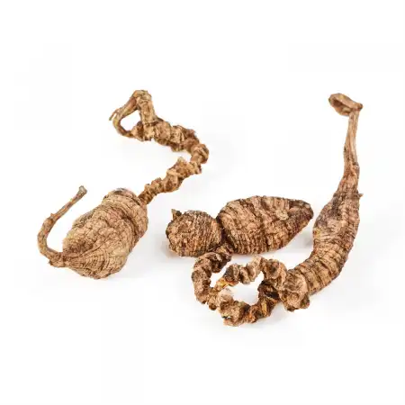 TAK SHING HONG Wild American Ginseng 15G-RR-AAA 4oz(113.50g)