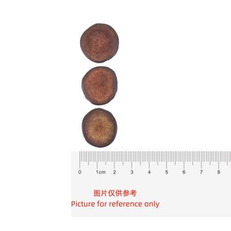 原色鹿茸片(MM15) 1.3oz - 美国德成行