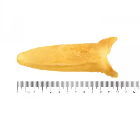 TAK SHING HONG G8 African Dried Fish Maw 8oz (#42126)