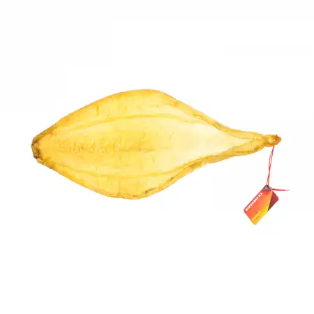 TAK SHING HONG G200 Vietnam Dried Fish Maw 1PC (#42182) 