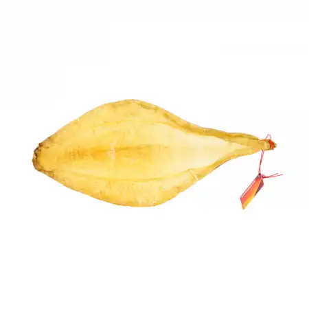 TAK SHING HONG G200 Vietnam Dried Fish Maw 1PC (#42182) 