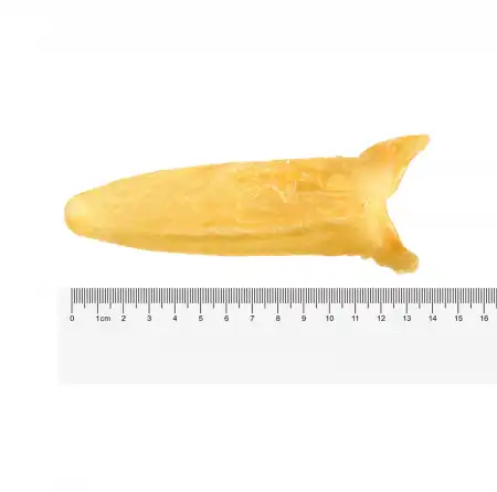 德成行 G12非洲黄花筒胶(花胶/鱼胶/鱼肚) 16oz (#42206)