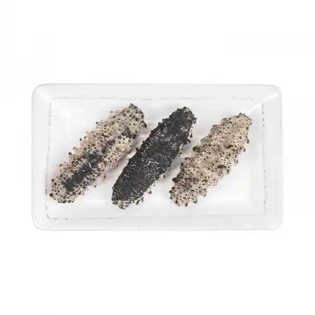 TAK SHING HONG G50 Mexico Dried Sea Cucumber (Zu Shen) AAAA 16oz (#43007)