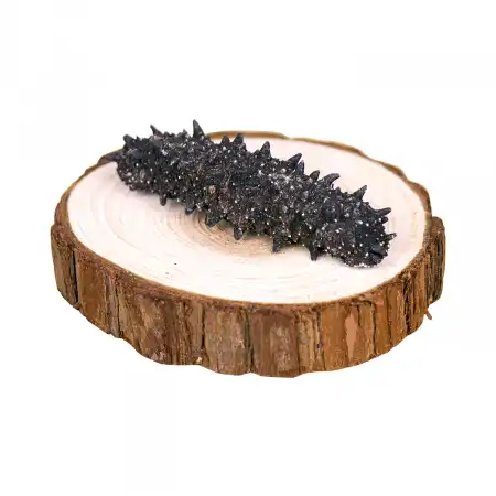 德成行 G10日本关东辽参 16oz (海参#46223-3A)