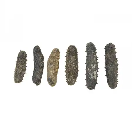 TAK SHING HONG G15 Japan Kansai Sea Cucumber 16oz (#46114)
