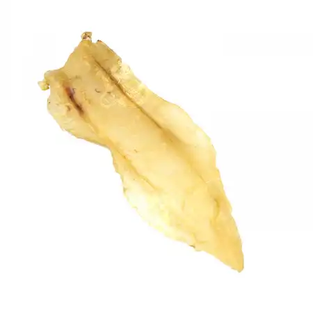 德成行 G70巴西扎胶/黄花胶(鱼胶/鱼肚) 1PC (#46148)