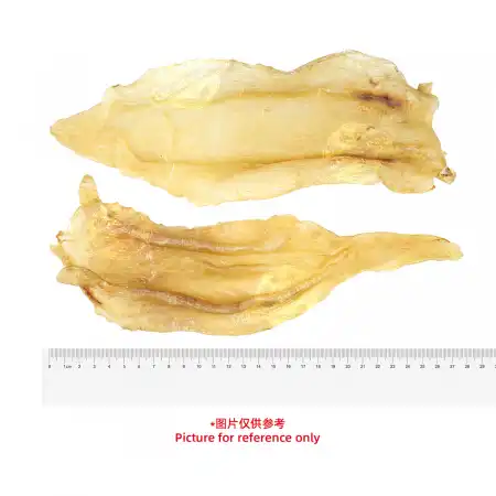 德成行 G70巴西扎胶/黄花胶(鱼胶/鱼肚) 1PC (#46148)