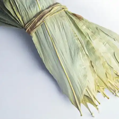 DOUBLE PARROT Bamboo Leaves, Lager 14oz