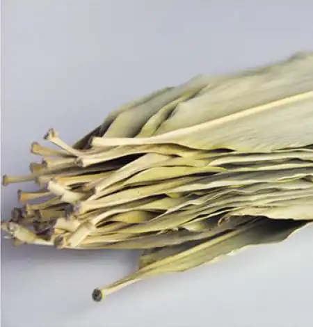 DOUBLE PARROT Bamboo Leaves, Lager 14oz