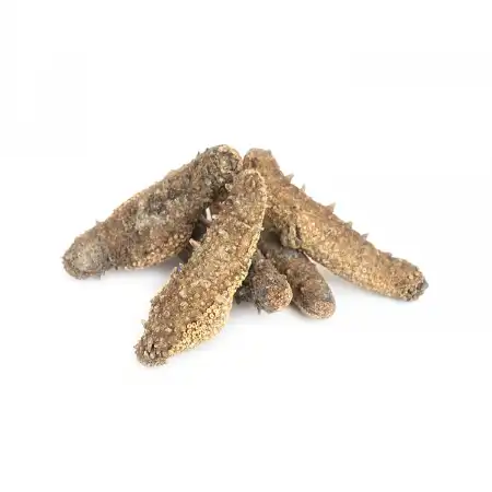 德成行 G35阿拉斯加红海参 16oz (海参#48053)