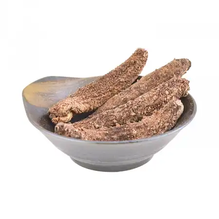 德成行 G25阿拉斯加红海参 16oz (海参#48048)