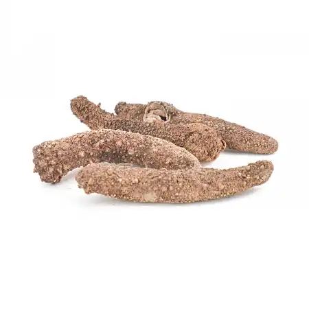 德成行 G25阿拉斯加红海参 16oz (海参#48048)