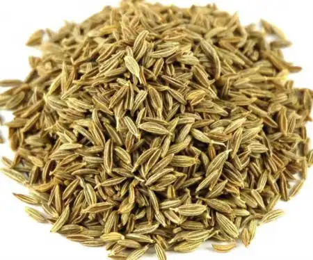 TAK SHING HONG Xiao Hui Xiang / Fennel Powder 16oz