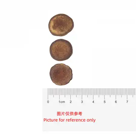 TAK SHING HONG Natural Color Deer Antler Slice (MM17) 1.3oz