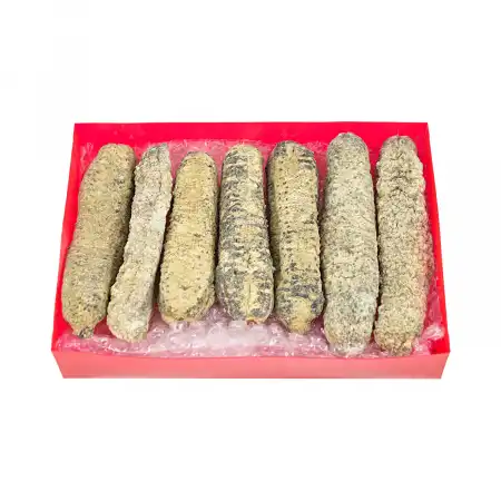 德成行 G70墨西哥足参/肥仔参 AAAA 16oz (海参#46053)