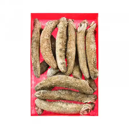 德成行 G35阿拉斯加红海参 16oz (海参#48053)