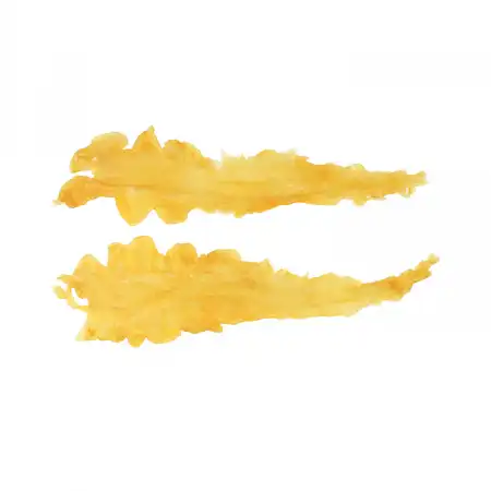 德成行 G20澳洲鳕鱼胶(花胶/鱼肚) 8oz (#42090)