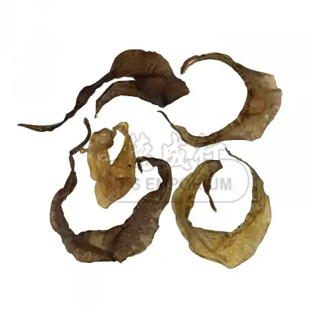 德成行 甲鱼裙边- 6oz (#42079)