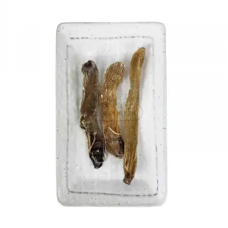 TAK SHING HONG Dried Sandworm L-4oz  (#46225)