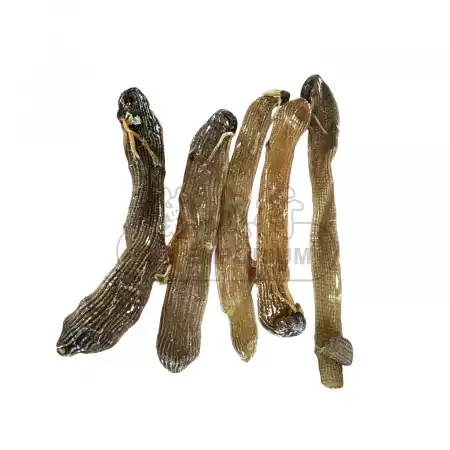 TAK SHING HONG Dried Sandworm L-4oz  (#46225)