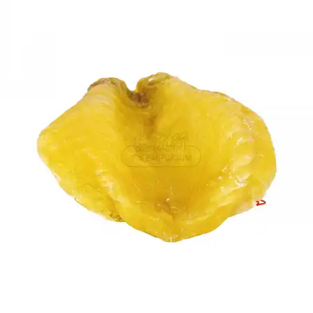 德成行 斗湖鱼胶(花胶/鱼胶/鱼肚) 1PC-0.81LB (#030326)