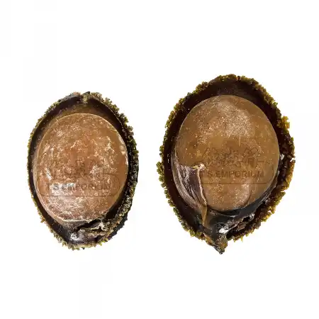 TAK SHING HONG G70 Dried Mexican Yellow Abalone 2pcs (#48839)