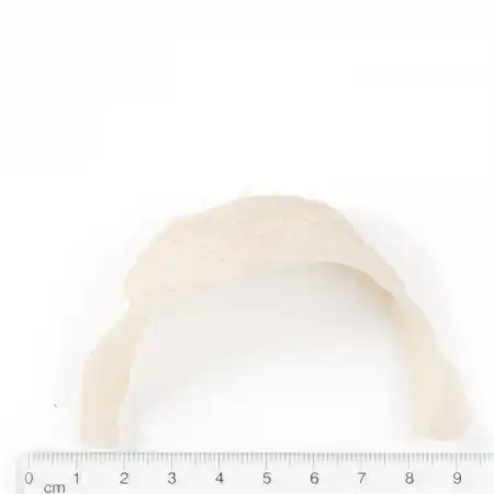 TAK SHING HONG Bird's Nest (Golden Swiftlets) AAA 2oz(56.75g)