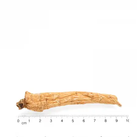 德成行 美国西洋参/花旗参(袋装) TS80-AAA 8oz(227g)