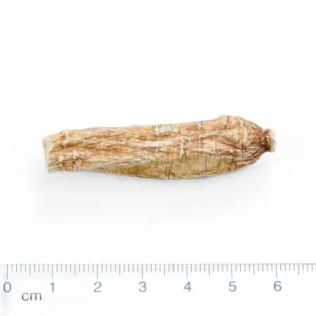 德成行 美国西洋参/花旗参(袋装+礼盒) PTS120-AA 4oz(113.50g)
