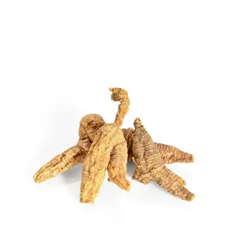 德成行 美国野生西洋参/花旗参 08G-RR-AAAA 1.3oz