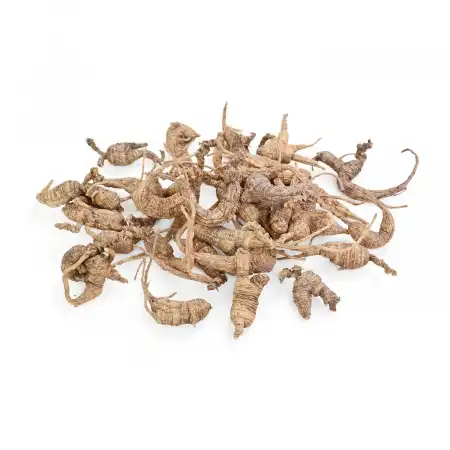 德成行 美国野生西洋参/花旗参 5G-RR-AAAA 4oz(113.50g)