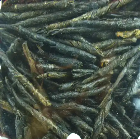 德成行 苦丁茶 6oz