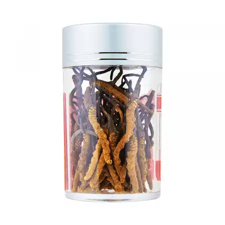 德成行 野生冬虫夏草 AA (A45) 10g