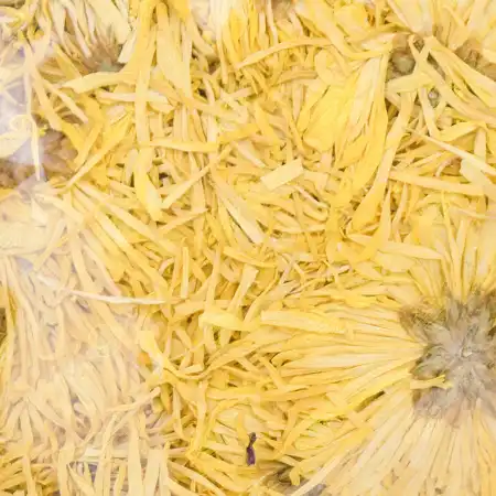 德成行 金丝皇菊 2oz