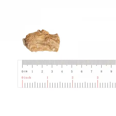 德成行 美国西洋参/花旗参 PS80-AAAA 8oz(227g)