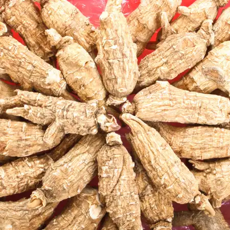 德成行 美国半野生西洋参/花旗参 RR120-AAAA 8oz(227g)