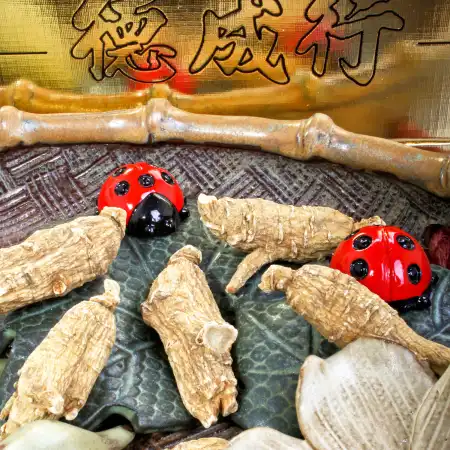 德成行 美国半野生西洋参/花旗参 RR120-AAAA 8oz(227g)