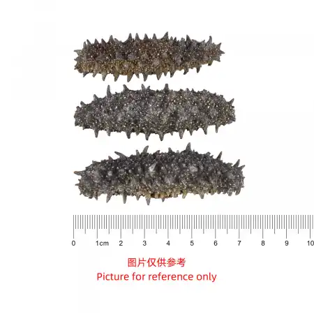 德成行 G12日本关东辽参 8oz (海参#46106-4A)