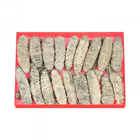 德成行 G10墨西哥足参/肥仔参 AAAA 16oz (海参#46042)