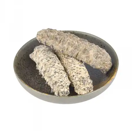德成行 G10墨西哥足参/肥仔参 AAAA 16oz (海参#46042)