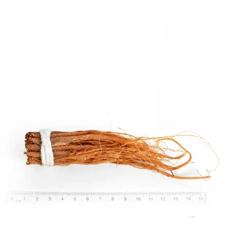 TAK SHING HONG Red Ginseng Tails 8oz