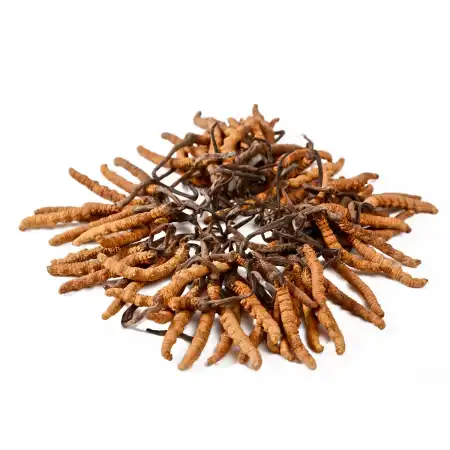 TAK SHING HONG Wild Cordyceps AAAA (A18) 1.3oz