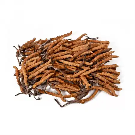 德成行 野生冬虫夏草 AAA (A25) 1.3oz