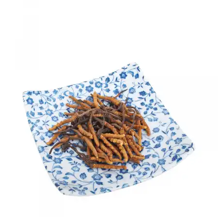 TAK SHING HONG Wild Cordyceps AA (A40) 1.3oz