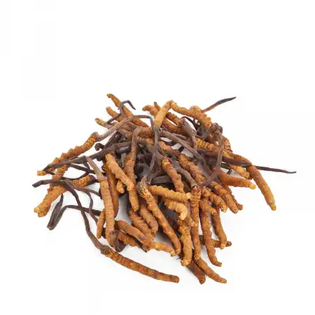 TAK SHING HONG Wild Cordyceps AA (A40) 1.3oz