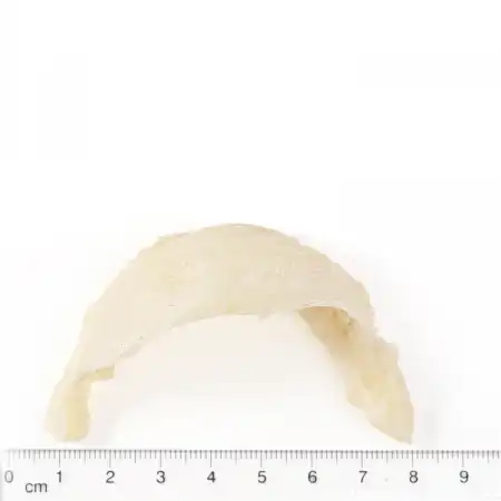 德成行 金丝燕窝盏AA 4oz(113.50g)