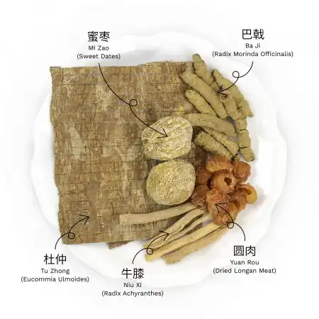 德成行汤包系列 巴戟杜仲壮腰健肾汤 5oz